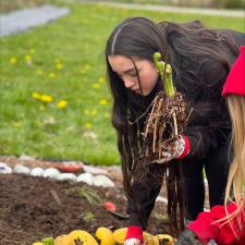 Female student helping plant new garden